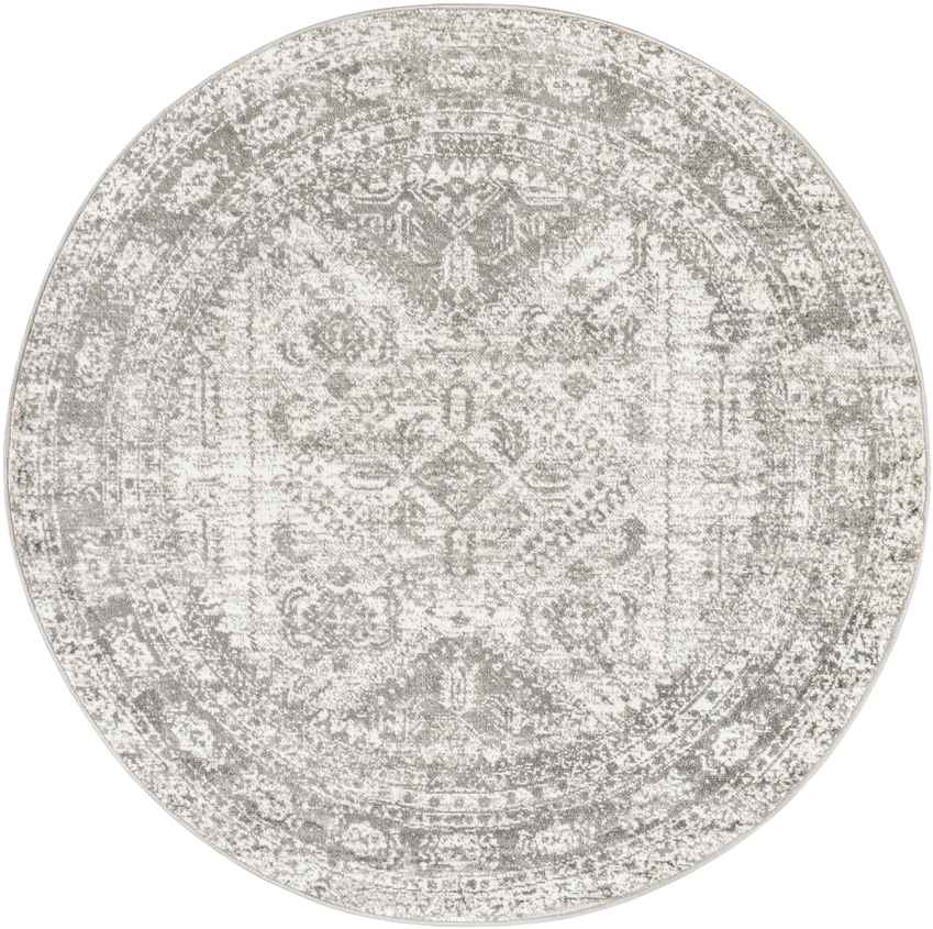 Jules Traditional Light Gray/White/Charcoal Area Rug