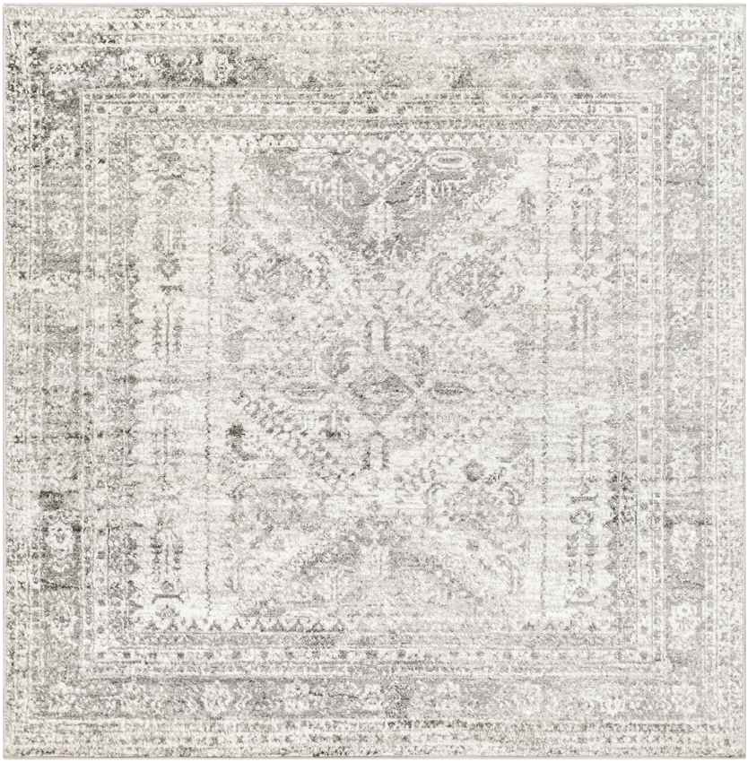 Jules Traditional Light Gray/White/Charcoal Area Rug