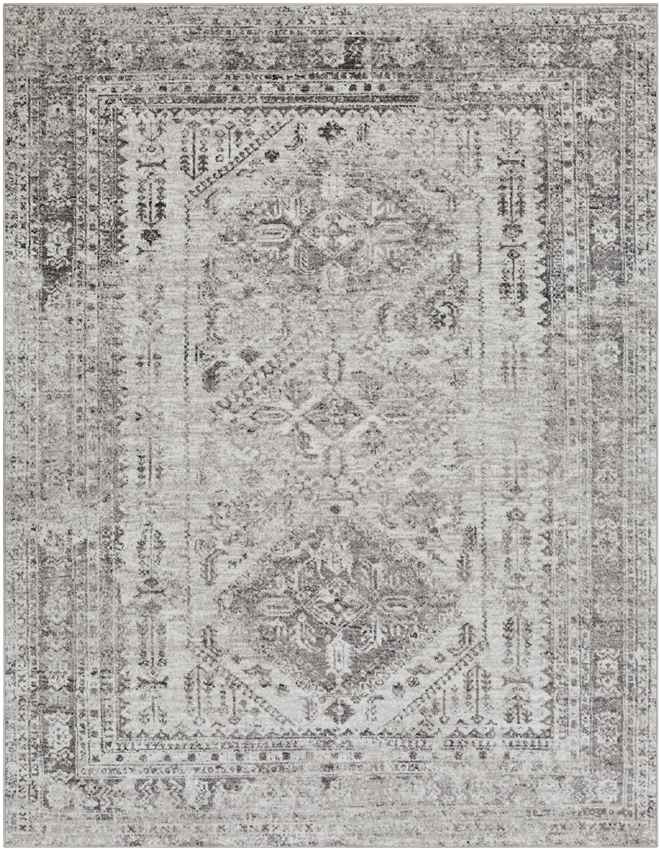 Jules Traditional Light Gray/White/Charcoal Area Rug