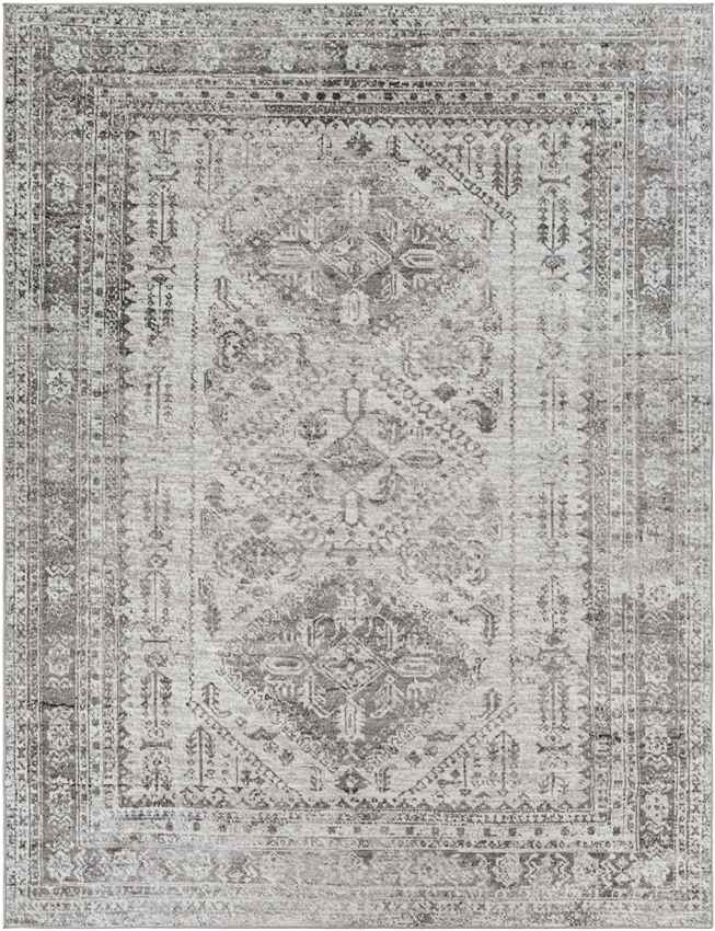 Jules Traditional Light Gray/White/Charcoal Area Rug