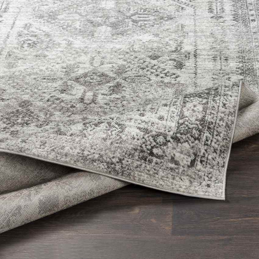 Jules Traditional Light Gray/White/Charcoal Area Rug