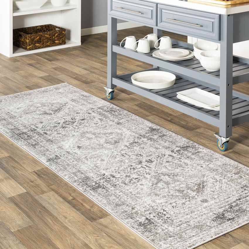 Jules Traditional Light Gray/White/Charcoal Area Rug
