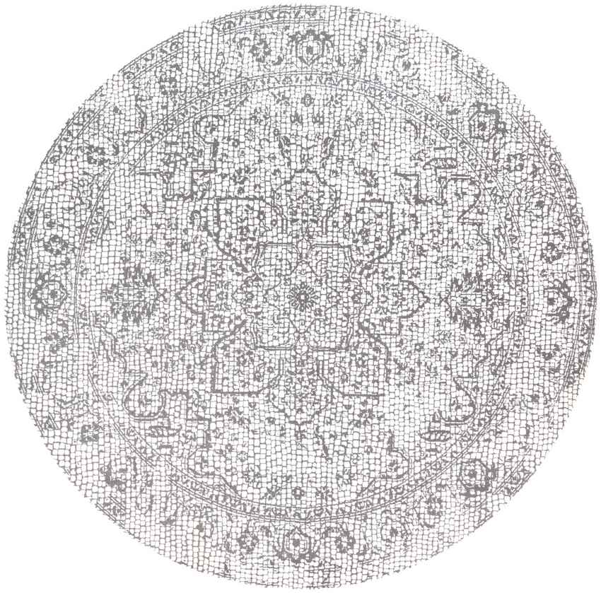 Lachan Traditional White/Grey Area Rug