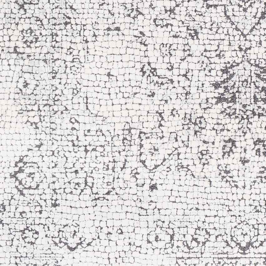Lachan Traditional White/Grey Area Rug