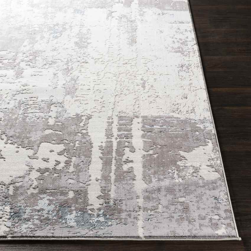 Amber Modern Medium Gray Area Rug