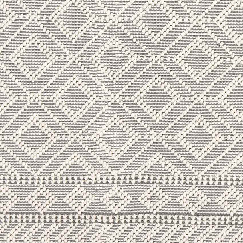 Limoges Cottage Medium Gray Area Rug