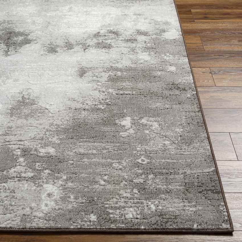 Istres Modern Light Gray Area Rug