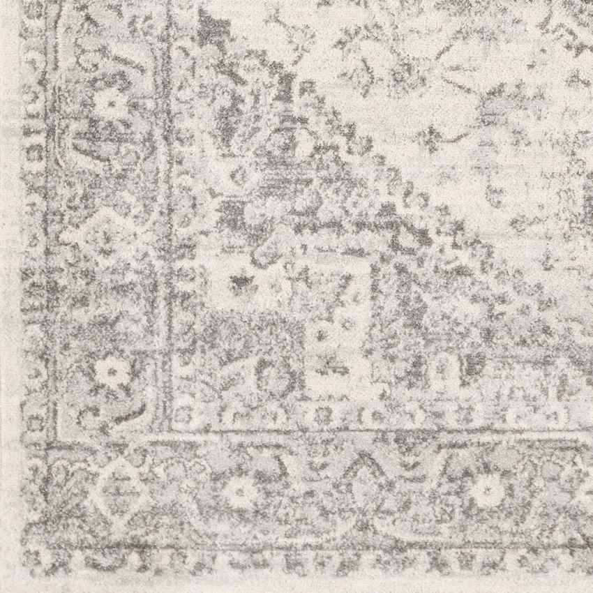 Chartres Traditional Light Gray Area Rug