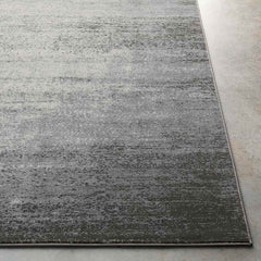 Nevers Modern Light Gray Area Rug