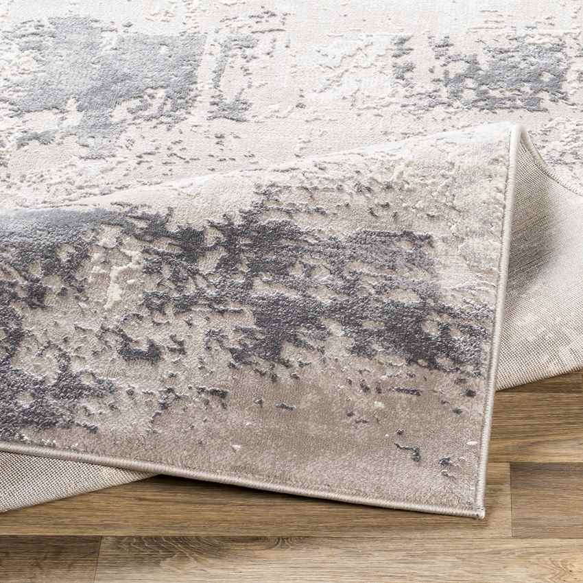 Agen Modern Charcoal Area Rug