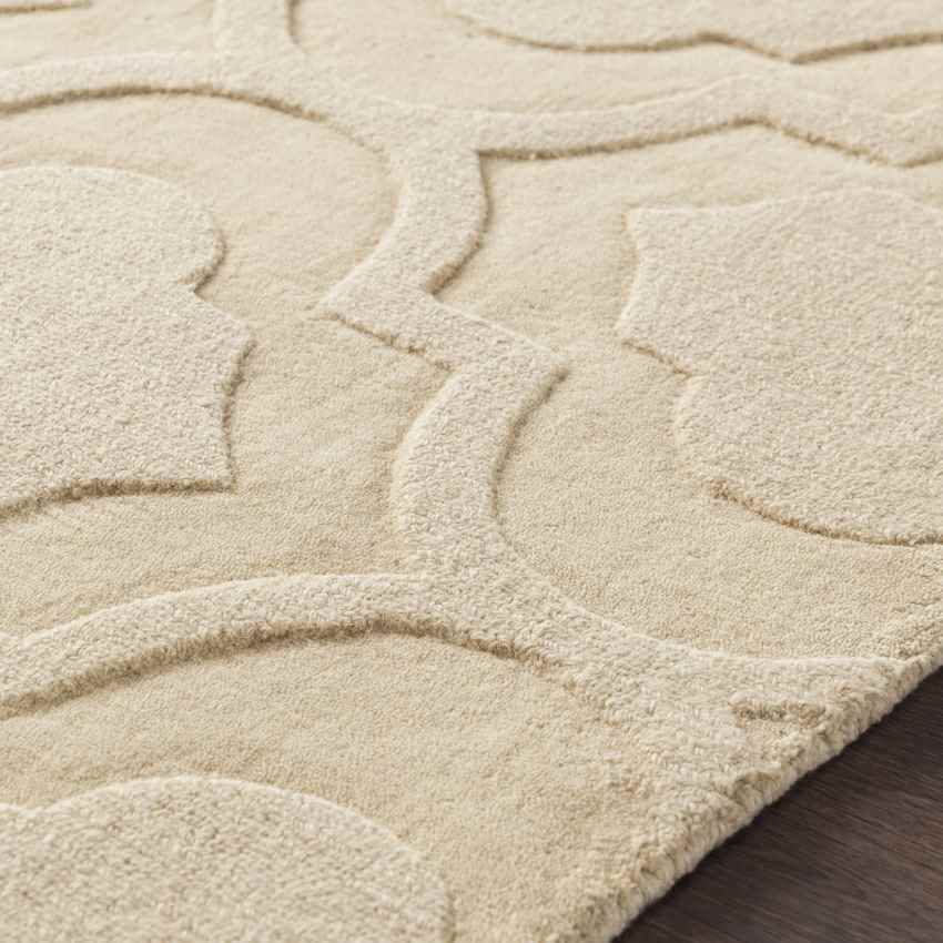 Bergerac Modern Khaki Area Rug