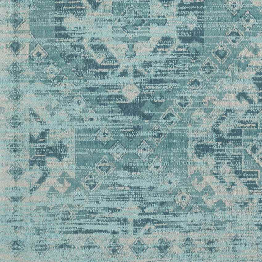 Pistoia Traditional Aqua Area Rug