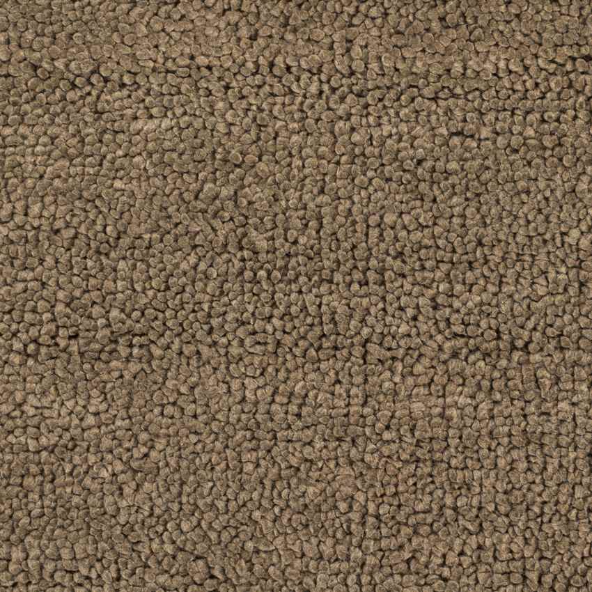 Geron Modern Dark Brown Area Rug