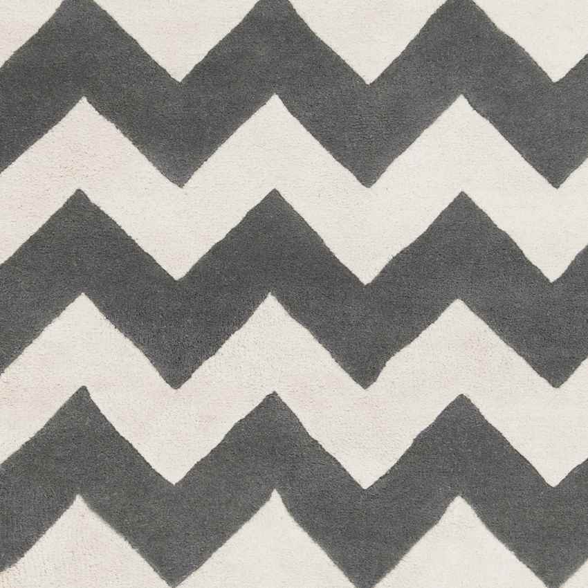 Zwiep Modern Gray/Ivory Area Rug