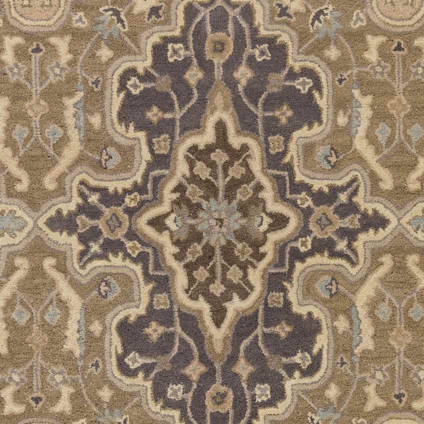 Leala Traditional Taupe Area Rug