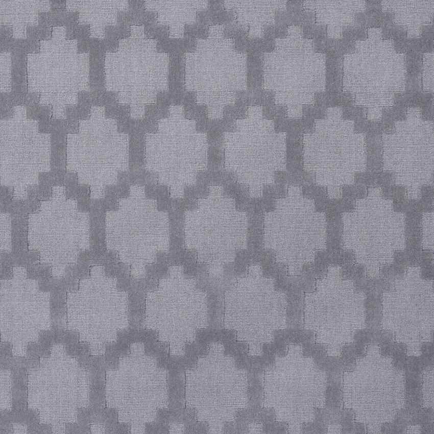 Ames Modern Cool Gray Area Rug
