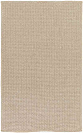 Thaya Modern Beige Area Rug