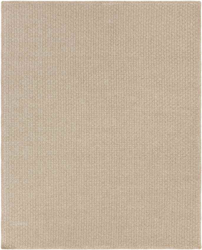 Thaya Modern Beige Area Rug