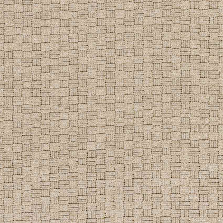 Thaya Modern Beige Area Rug