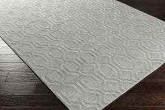 Blythe Modern Silver Gray Area Rug