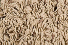 Bradbury Modern Brown Area Rug