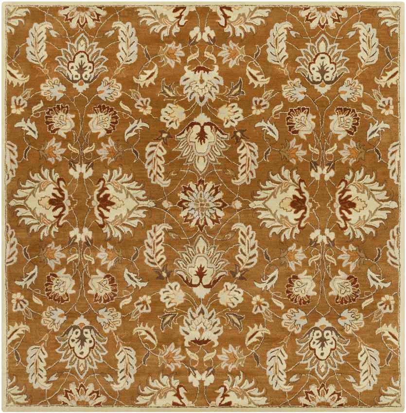 Hanna Traditional Brown Area Rug