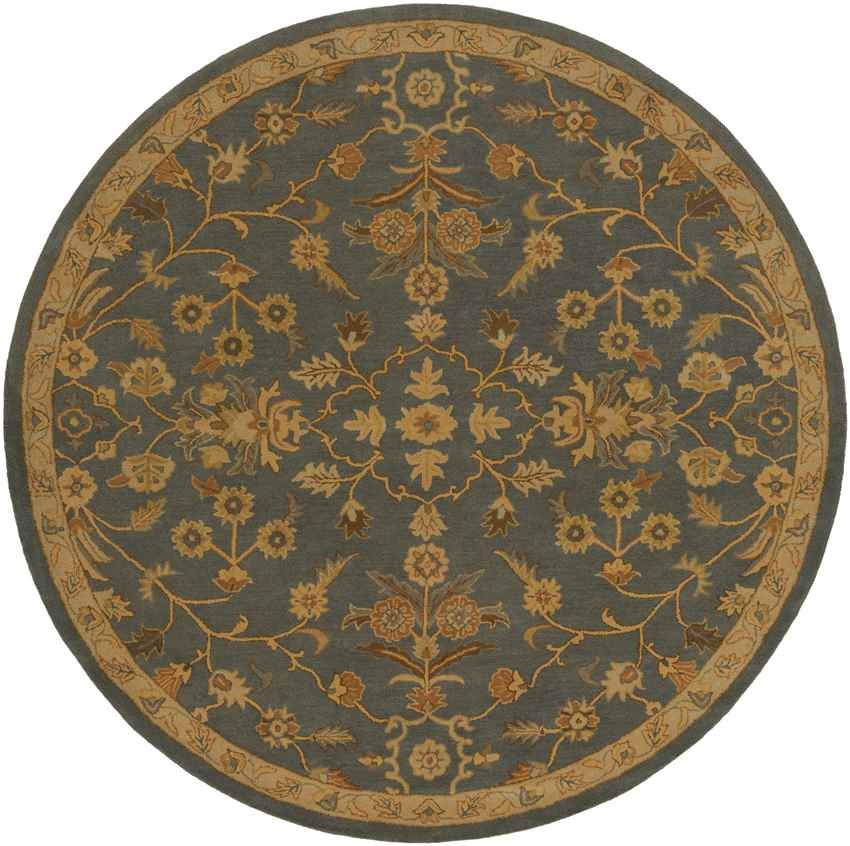 Rossburn Traditional Charcoal/Tan Area Rug