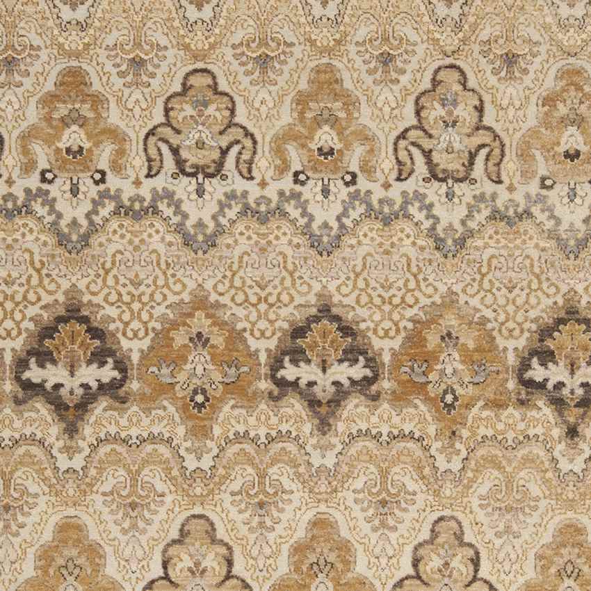 Sigourney Traditional Gray/Cream Area Rug