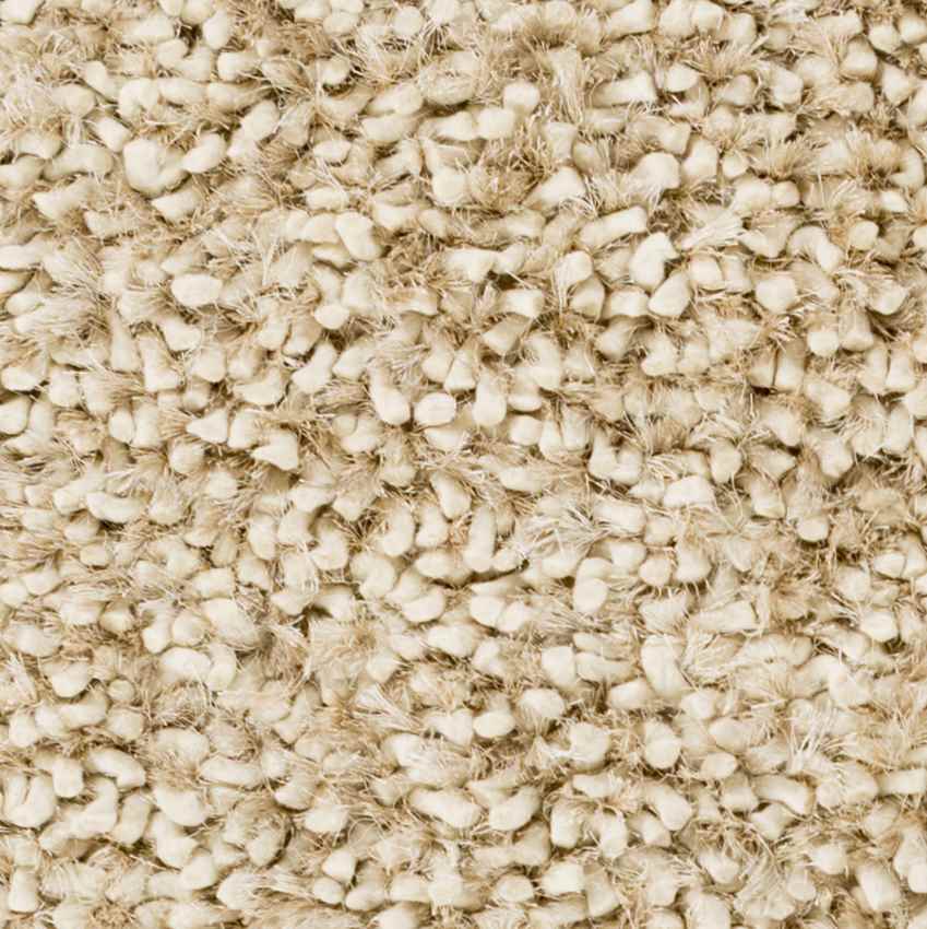 Veele Modern Ivory Area Rug