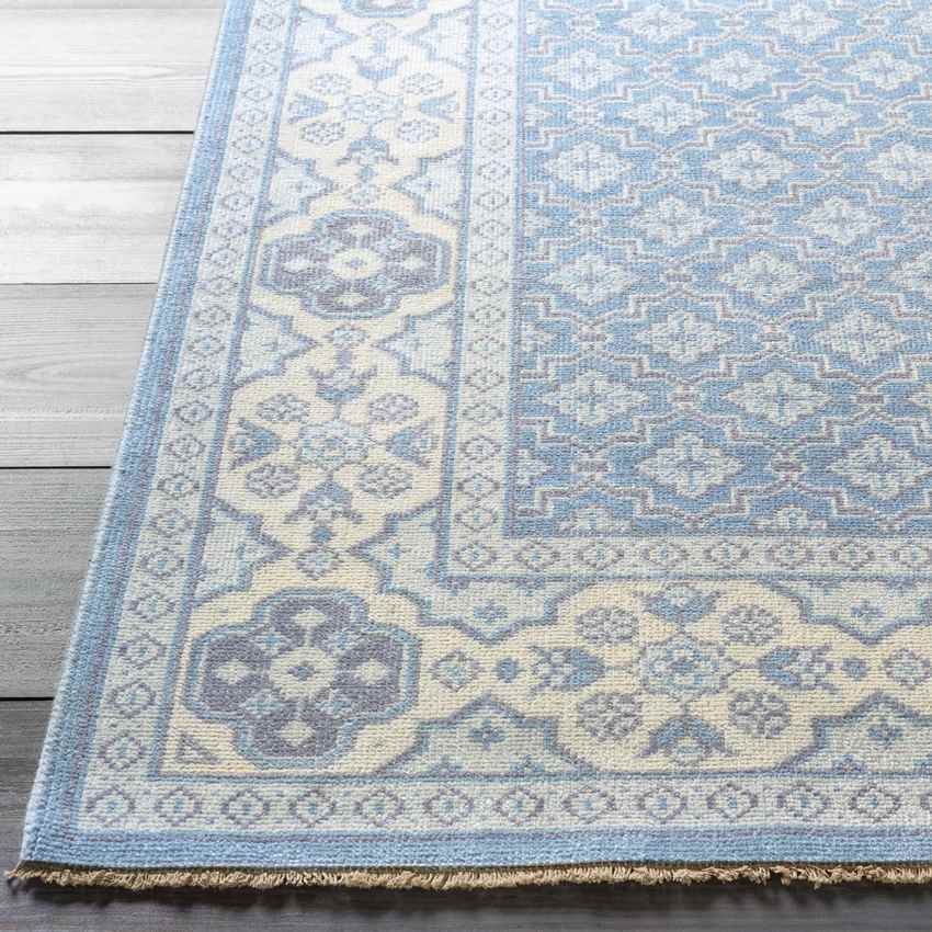 Colquitt Traditional Slate/Light Gray Area Rug