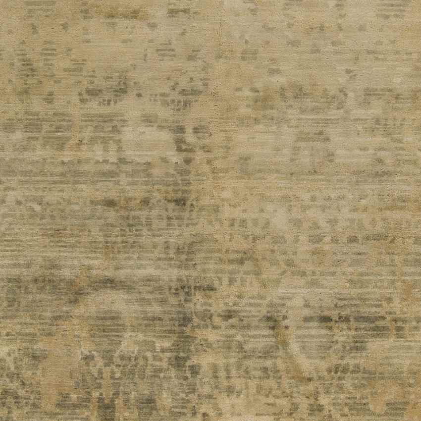 Raynard Traditional Beige Area Rug