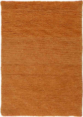 Coweta Modern Burnt Orange Area Rug