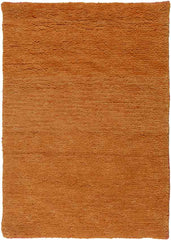 Coweta Modern Burnt Orange Area Rug