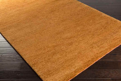 Coweta Modern Burnt Orange Area Rug