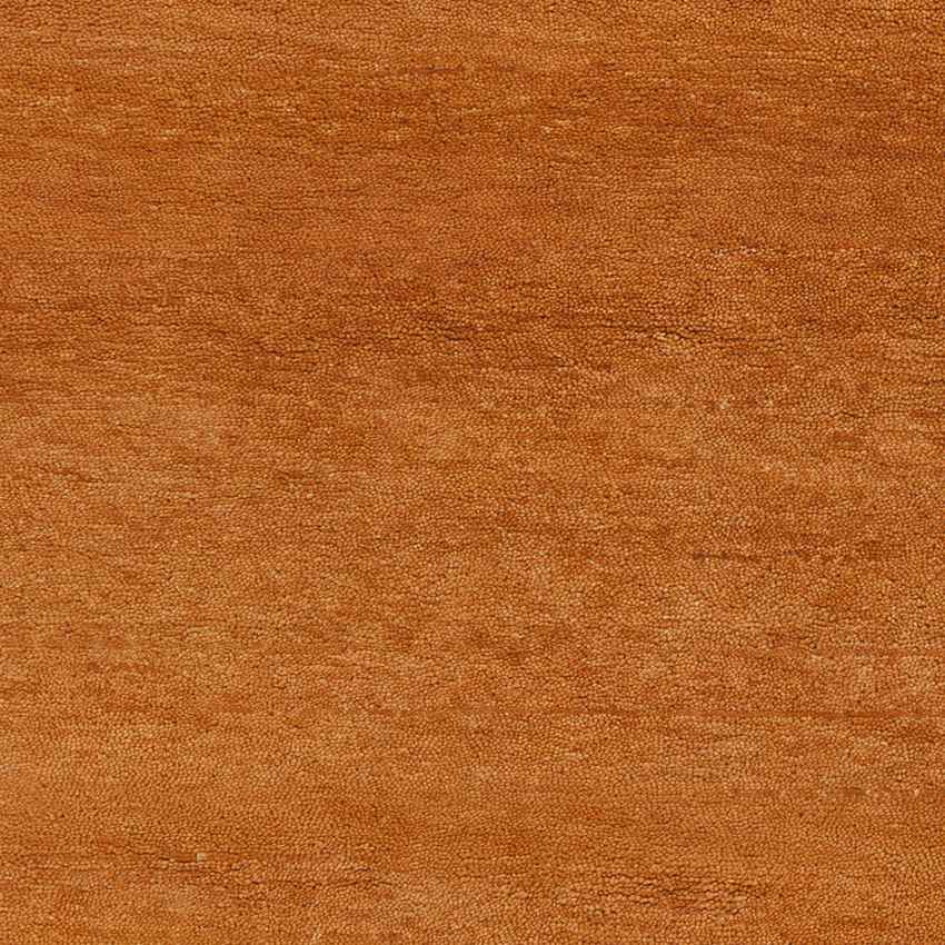 Coweta Modern Burnt Orange Area Rug