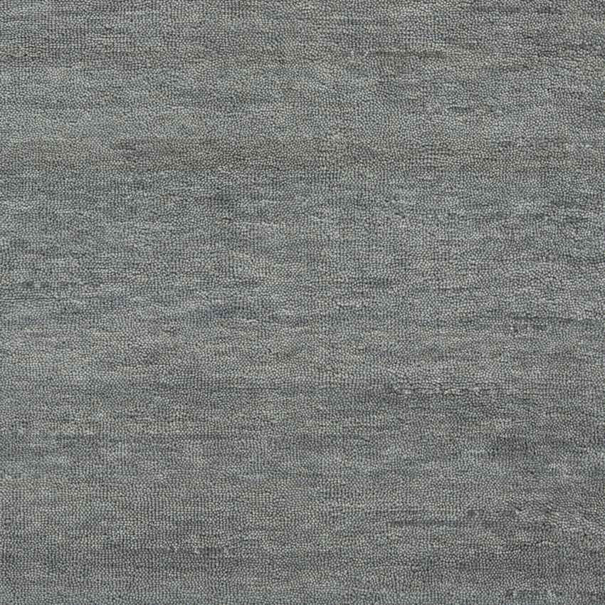 Coweta Modern Sage Area Rug