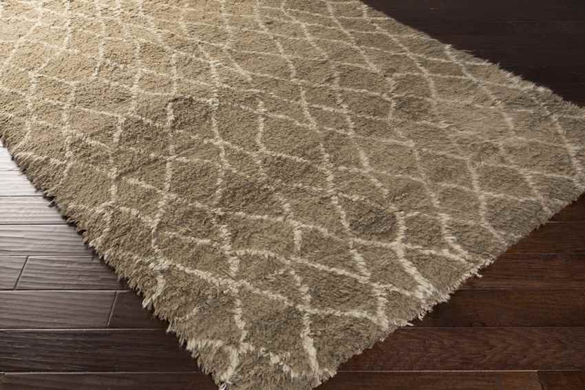 Cushman Modern Light Gray Area Rug