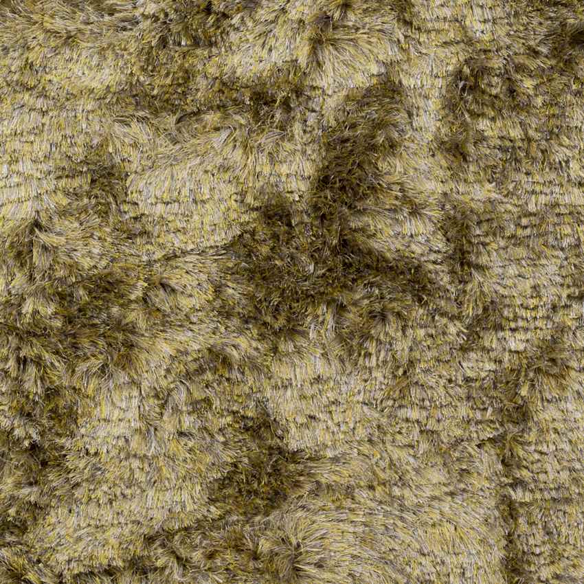 Dagsboro Modern Lime Area Rug