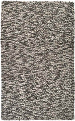 Echols Modern Light Gray Area Rug