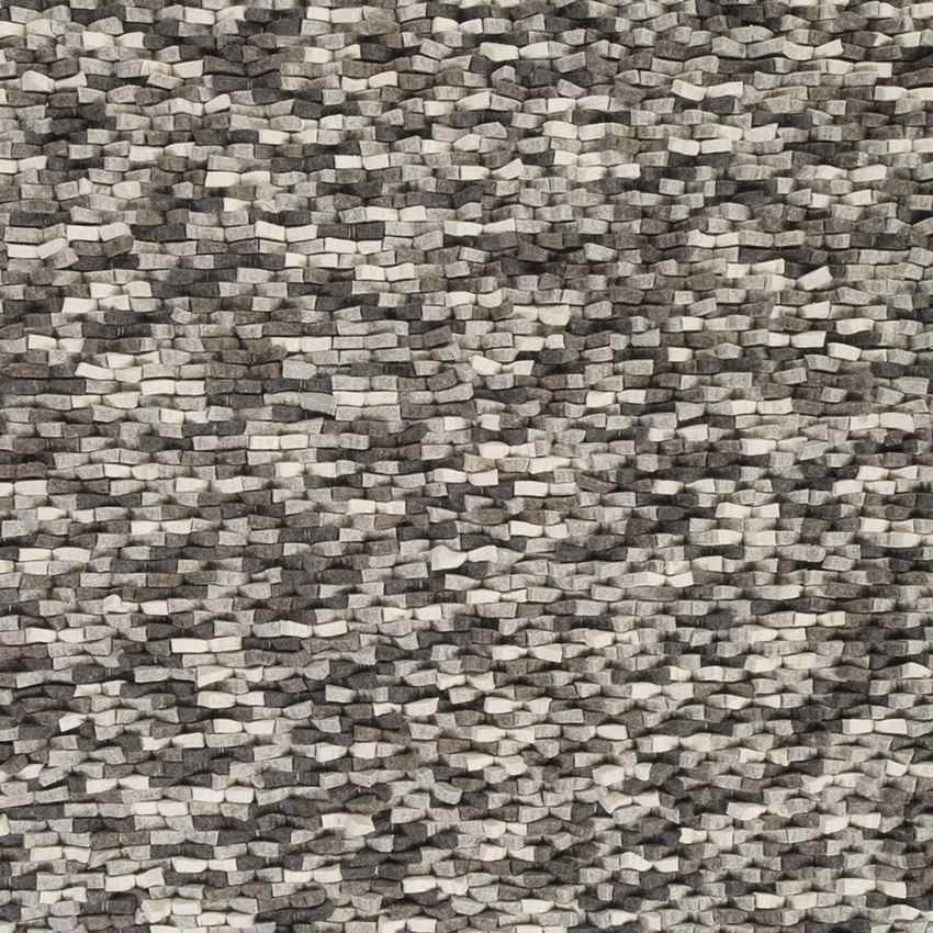 Echols Modern Light Gray Area Rug