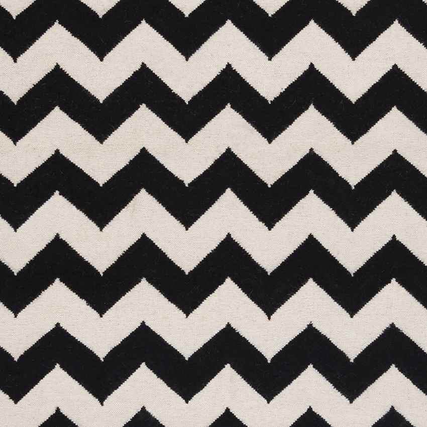 Emanuel Modern Jet Black/Winter White Area Rug