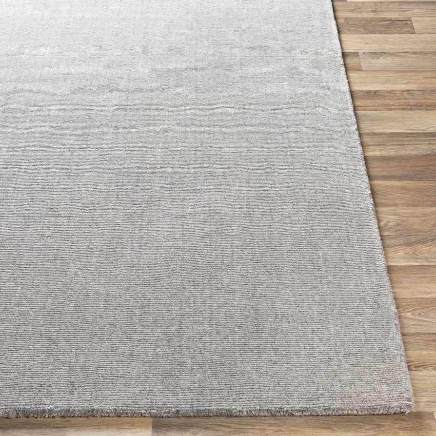 Remy Modern Medium Gray Area Rug