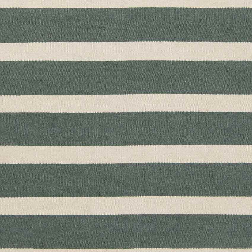 Eva Modern Gray/Beige Area Rug