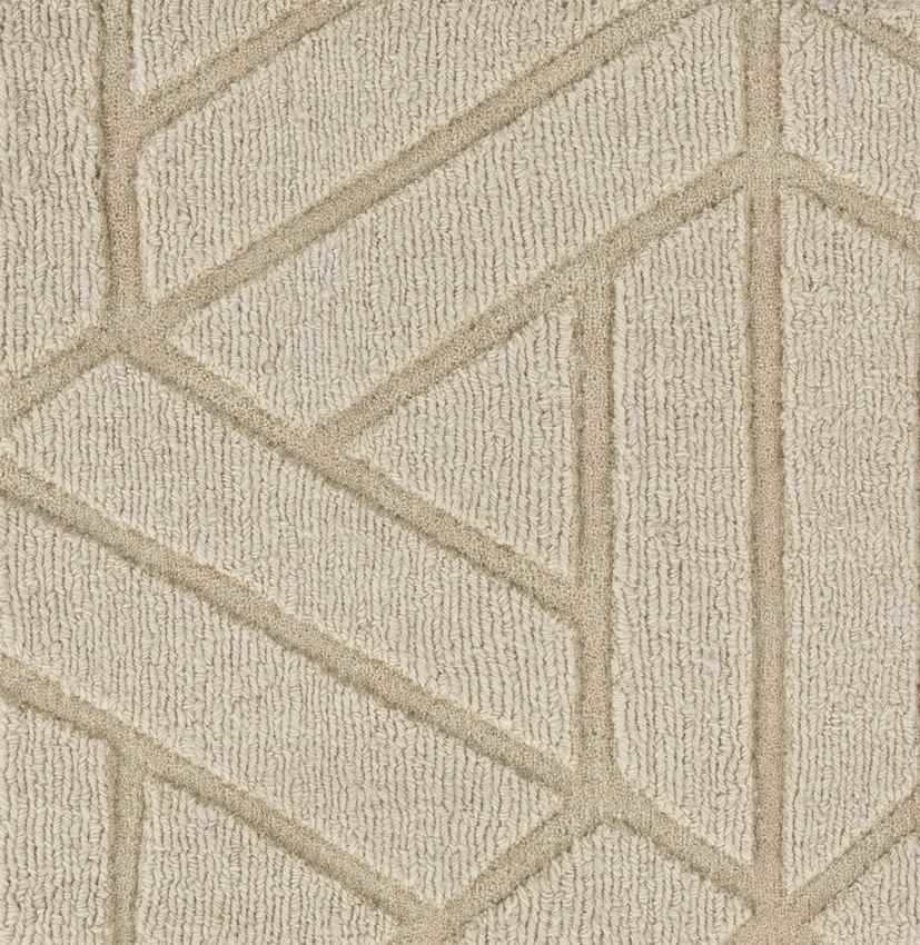 Shippagan Modern Ivory Area Rug