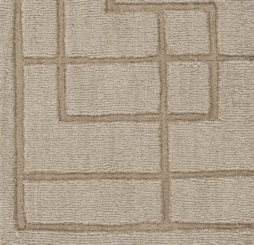 Onstwedde Modern Khaki Area Rug