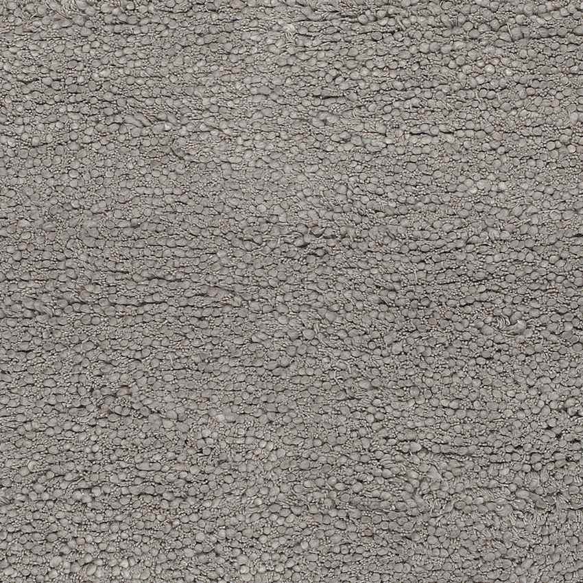 Manassas Modern Gray Area Rug