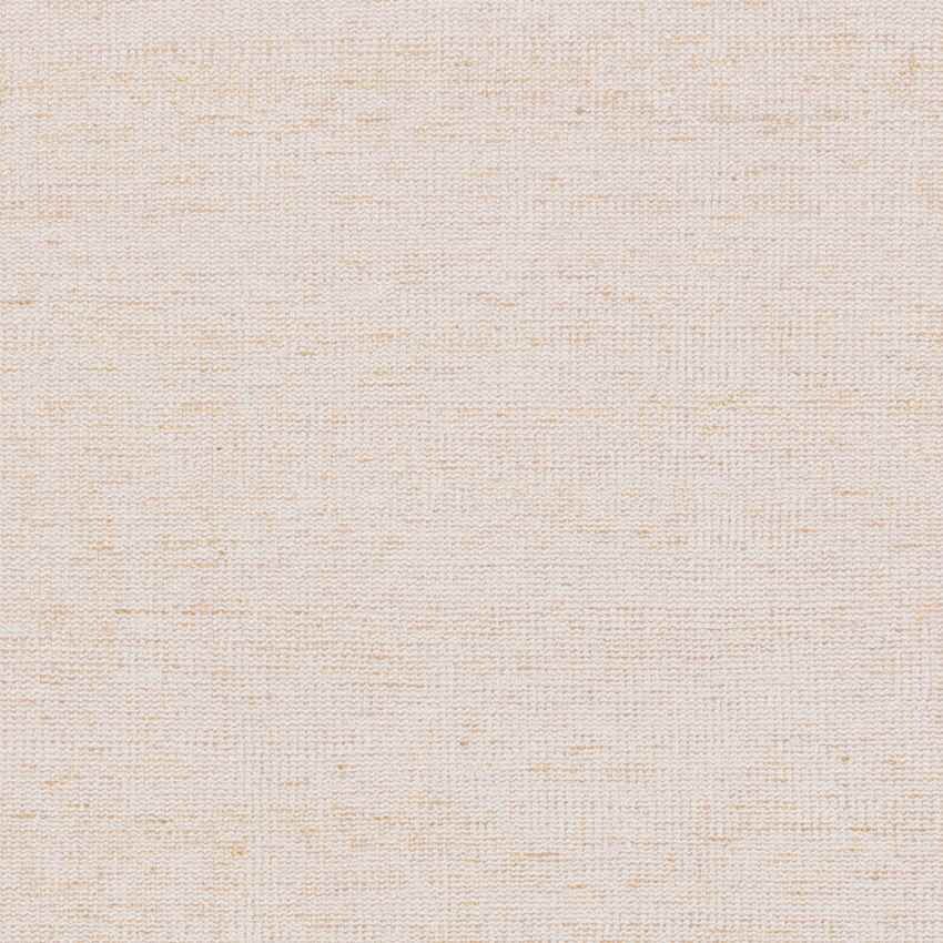 McGehee Modern Ivory Area Rug