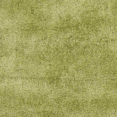Modesto Modern Green Area Rug
