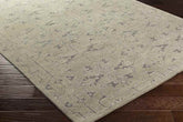 Novato Traditional Beige Area Rug