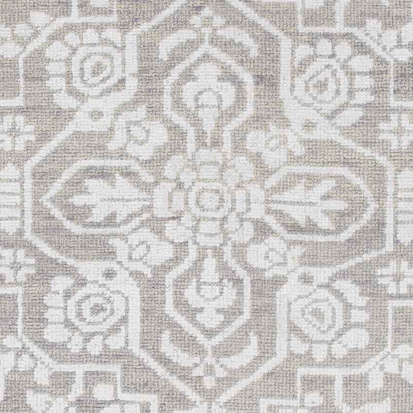 Bedworth Traditional Light Gray Area Rug